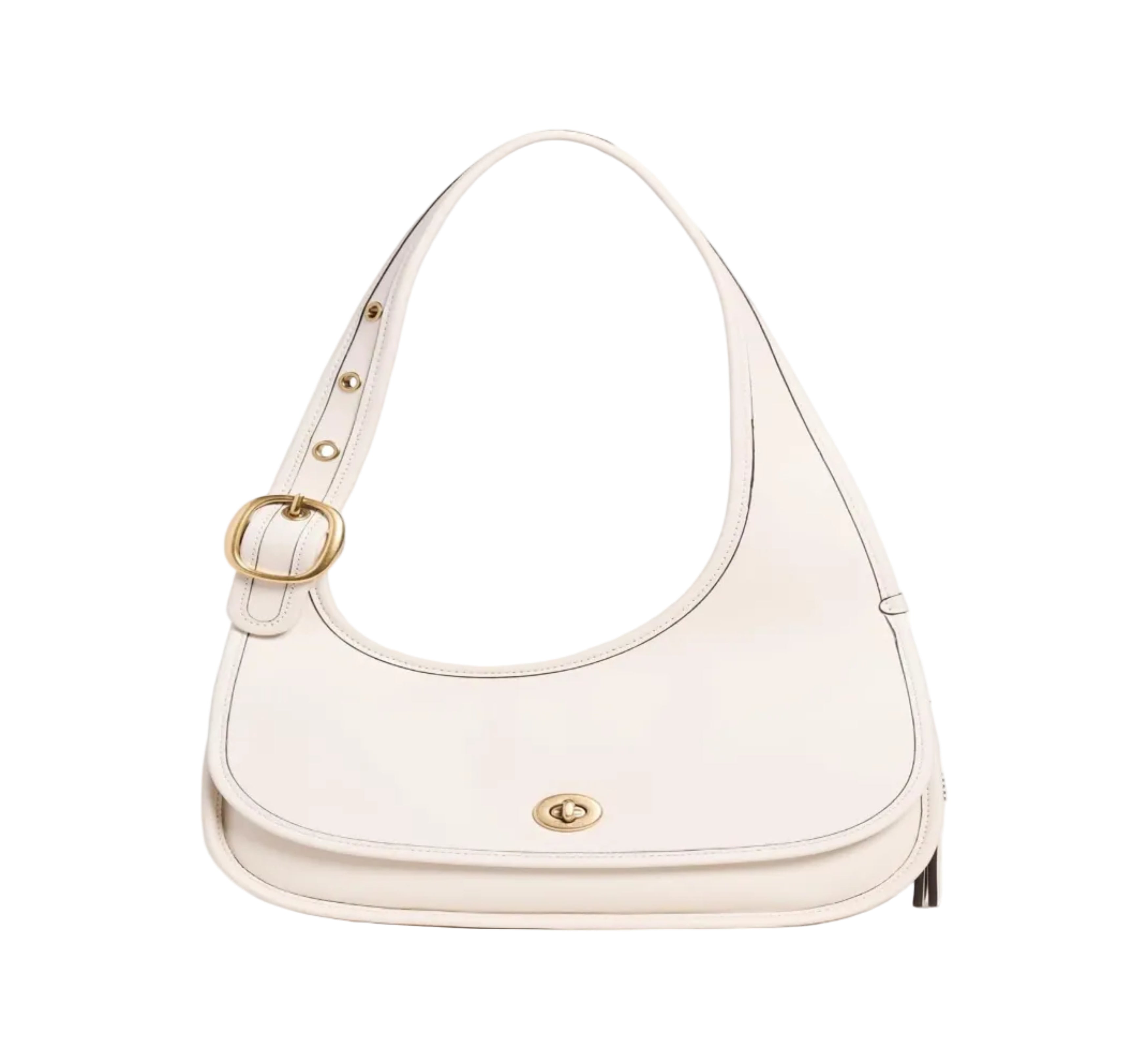 COACH Cashin Carry Small Leather Crescent Bag